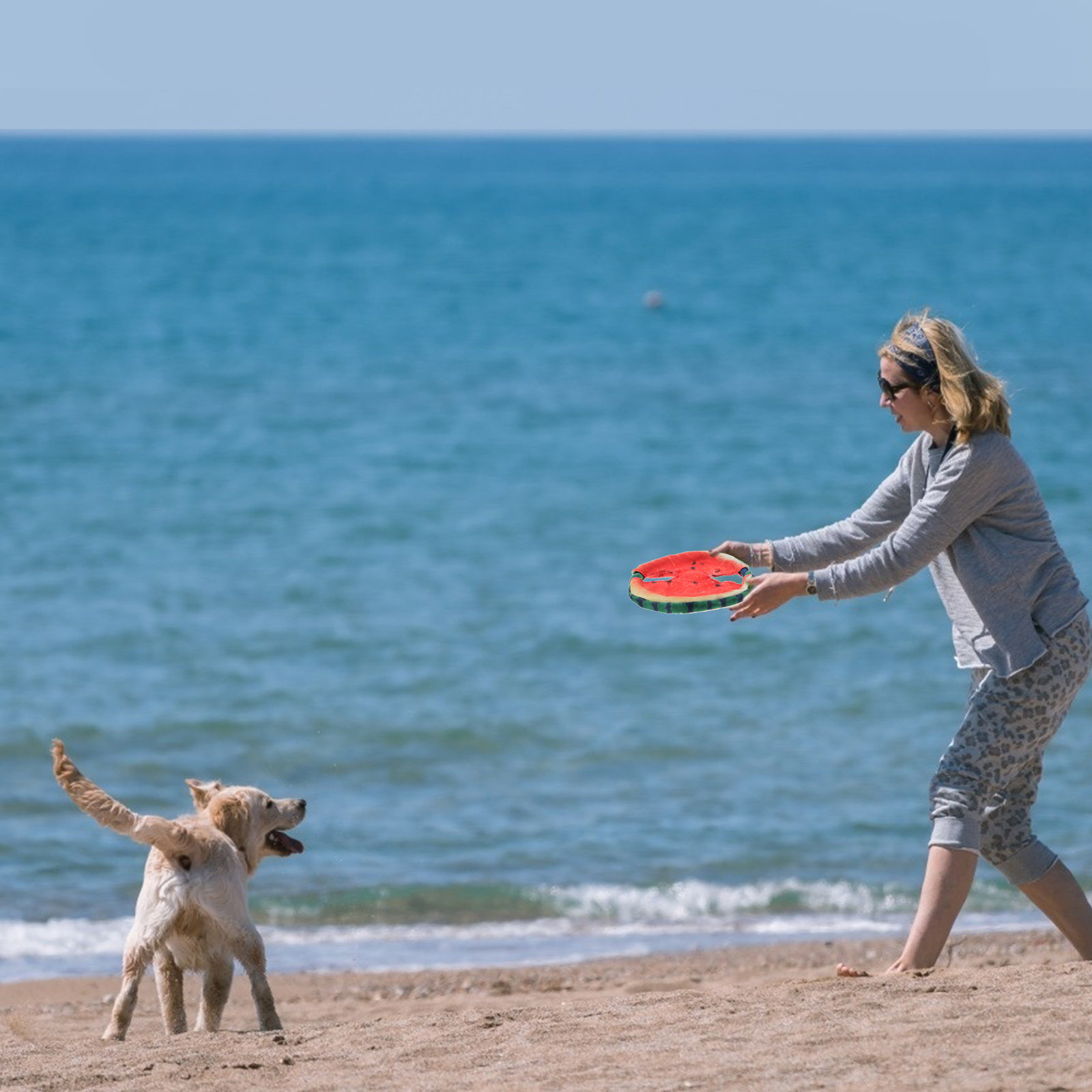Flying Disc Dog Training Toy - จานร่อนสำหรับสุนัข ลายแตงโมลอยน้ำ น้ำหนักเบา ของเล่นฝึกสัตว์เลี้ยง สำหรับเล่นกลางแจ้งริมชายหาด
