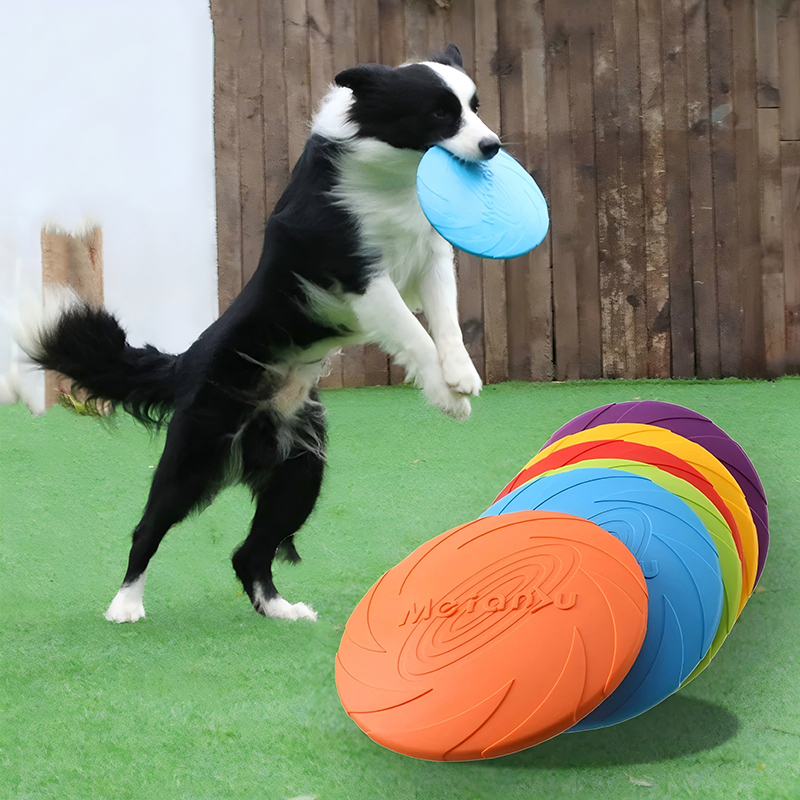 ของเล่นจานบินซิลิโคนอเนกประสงค - Flying Disc Dog Training Toy บทวิจารณ์และราคา