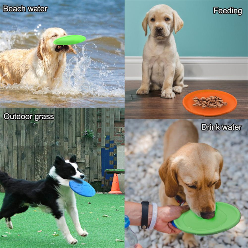 ของเล่นจานบินซิลิโคนอเนกประสงค - Flying Disc Dog Training Toy บทวิจารณ์และราคา