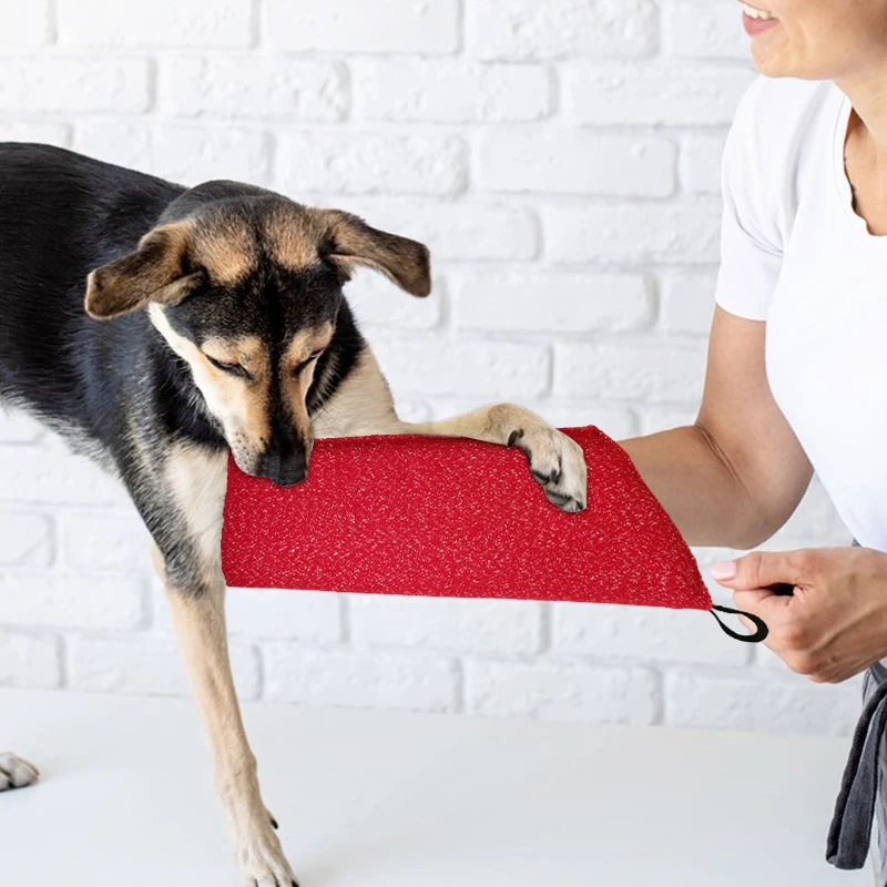 แขนฝึกสุนัขลูกสุนัขกัด Interac - Interactive Squeaky Plush Dog Toy บทวิจารณ์และราคา
