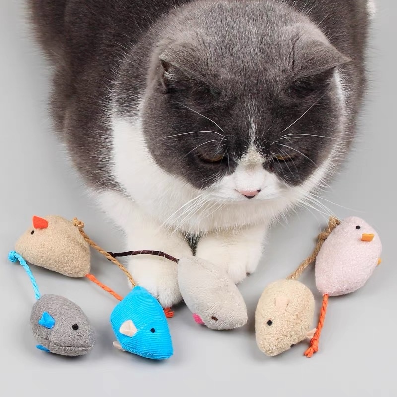 ของเล่นแมวแบบนุ่ม พกพาสะดวก รู - Catnip Interactive Plush Mouse บทวิจารณ์และราคา