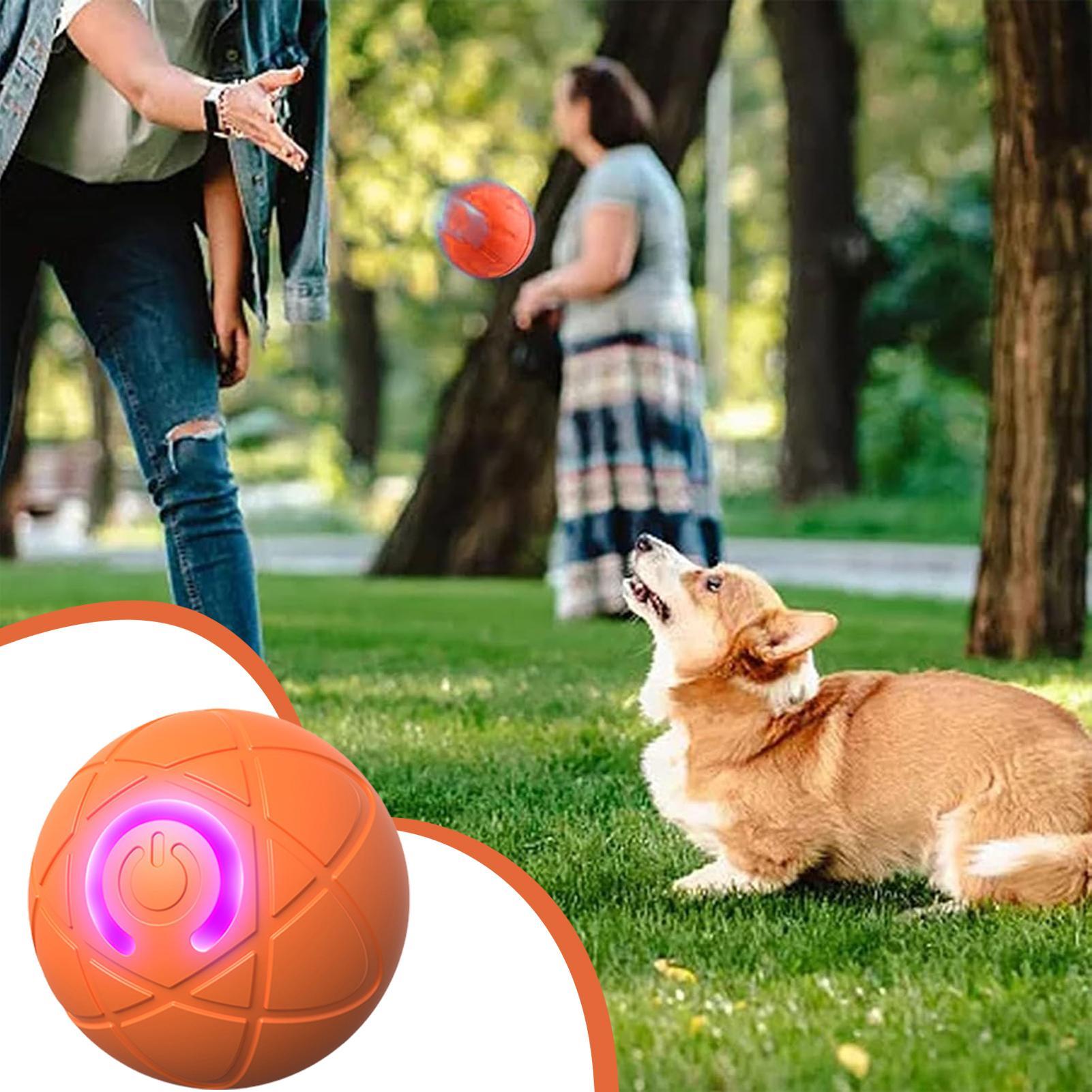 ของเล่นสุนัขแบบโต้ตอบอัจฉริยะส - Automatic Moving Dog Ball บทวิจารณ์และราคา