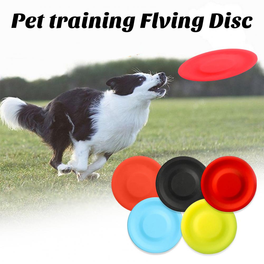 ของเล่นจานร่อนสุนัขสัตว์เลี้ยง - Flying Disc Dog Training Toy บทวิจารณ์และราคา