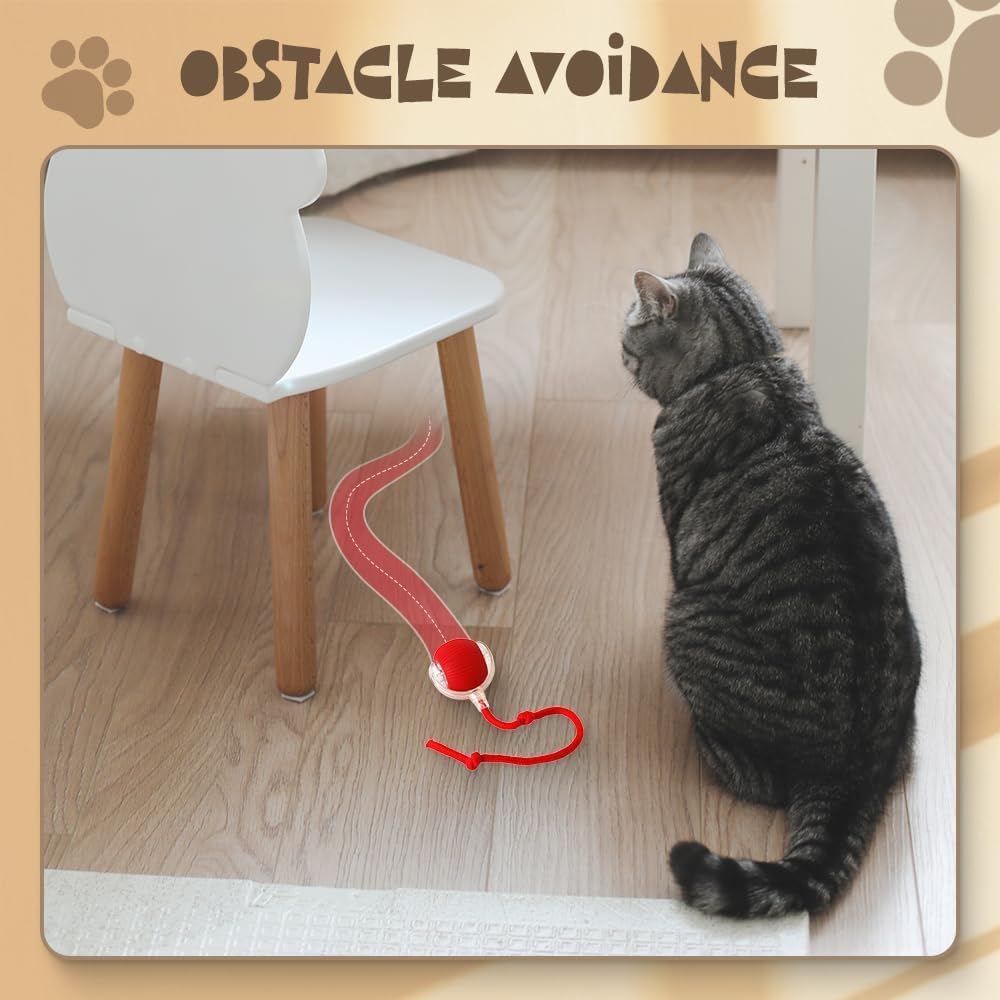 ลูกบอลสัตว์เลี้ยงแบบกลิ้งได้ ป - Automatic Moving Dog Ball บทวิจารณ์และราคา