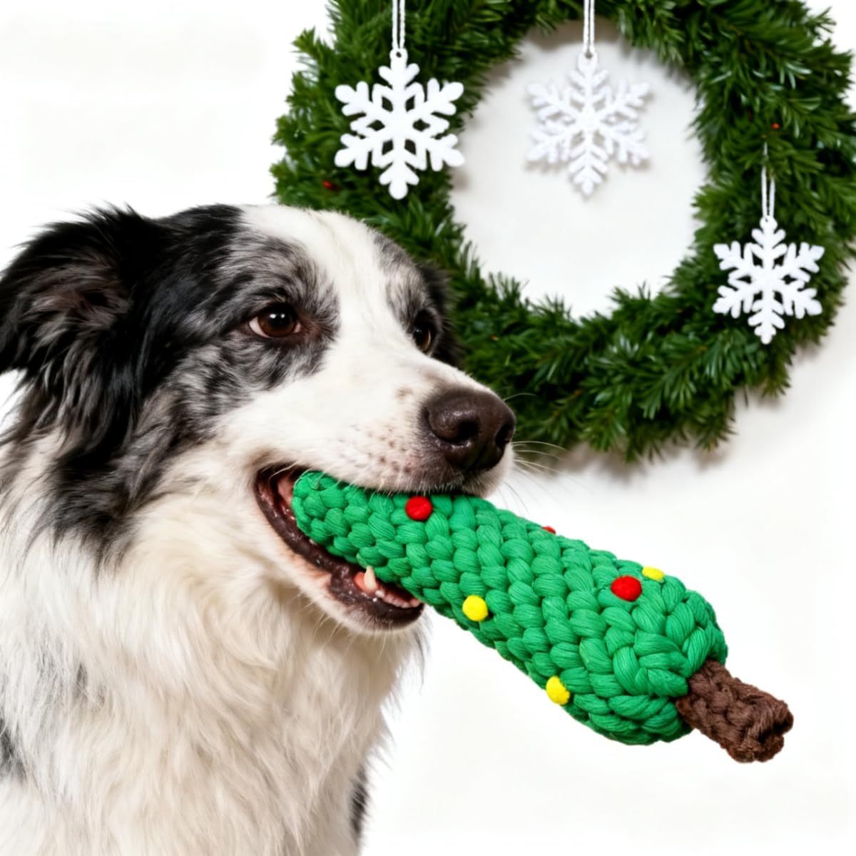 ของเล่นสำหรับสุนัขทำจากเชือกฝ้ - Teeth Cleaning Dog Chew Bone บทวิจารณ์และราคา