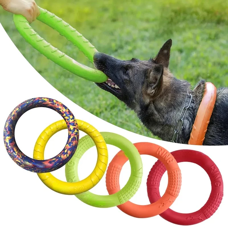 ของเล่นสุนัขของเล่นสัตว์เลี้ยง - Flying Disc Dog Training Toy บทวิจารณ์และราคา