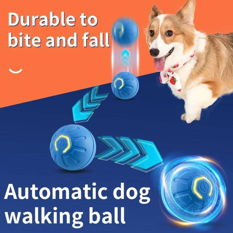 ของเล่นสุนัขอัจฉริยะ ลูกบอลอิเ - Indestructible Dog Chew Toy บทวิจารณ์และราคา