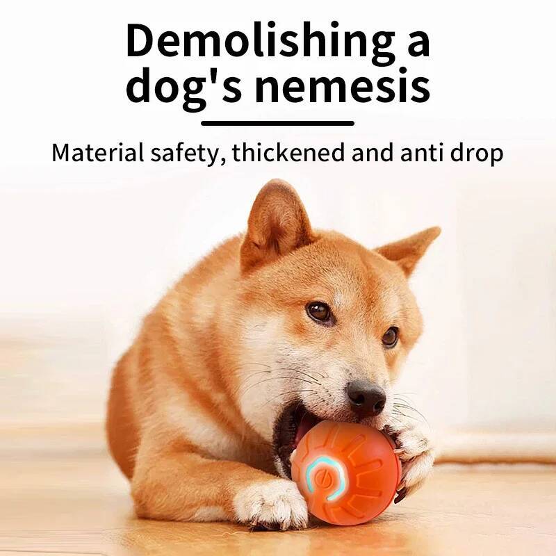 ของเล่นสุนัขอัจฉริยะ ลูกบอลอิเ - Indestructible Dog Chew Toy บทวิจารณ์และราคา
