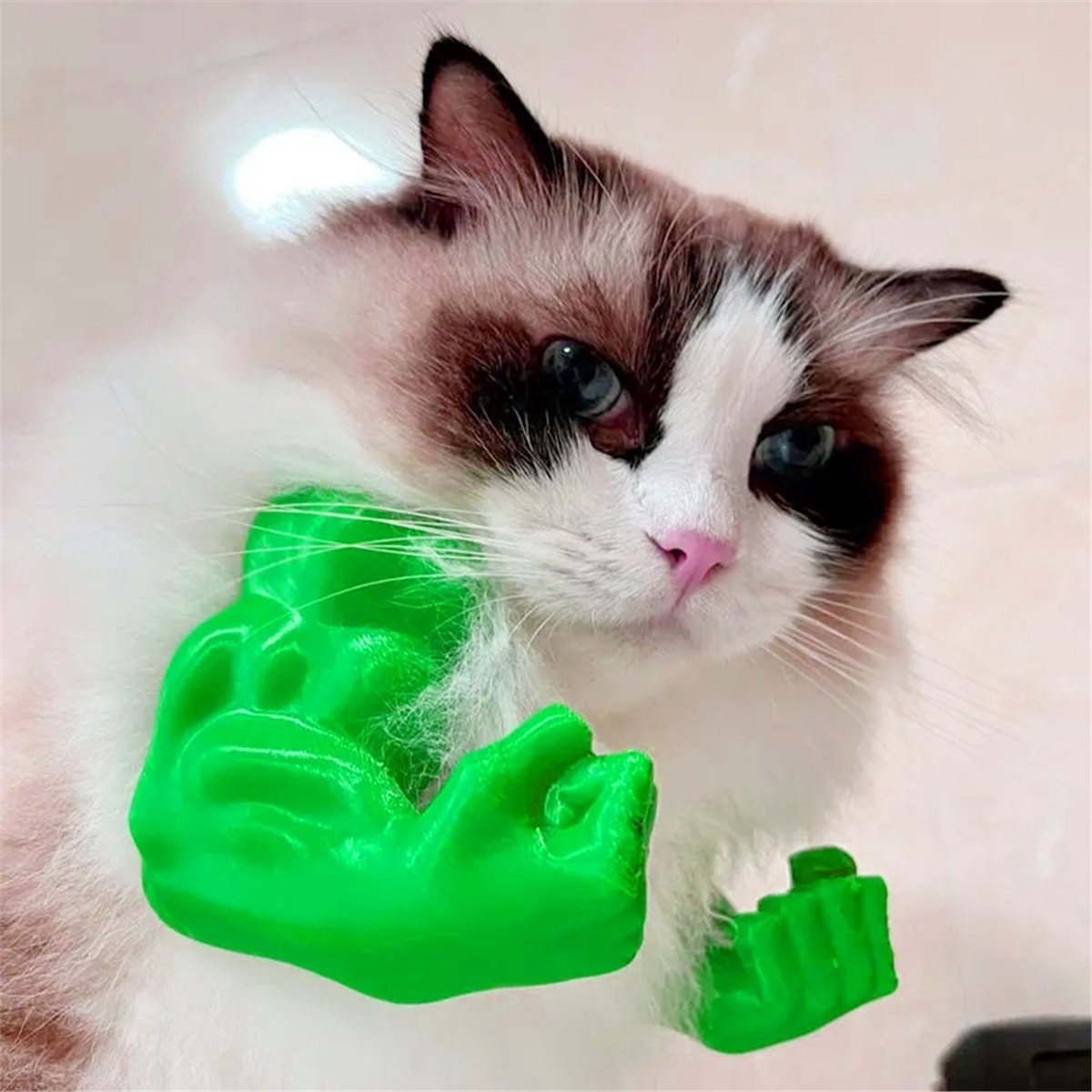 จี้แขนกล้ามเนื้อแมวใหม่ ชุดคู่ - Cat Toys บทวิจารณ์และราคา
