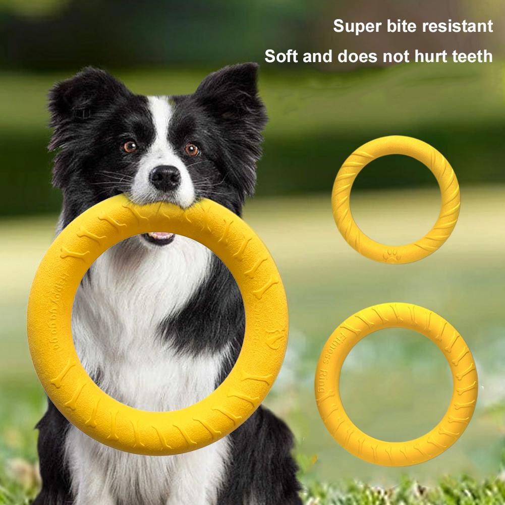 ของเล่นแหวนสำหรับสุนัข ทนทาน ไ - Indestructible Dog Chew Toy บทวิจารณ์และราคา
